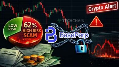 BasePerp Project ICO Kripto Berisiko
