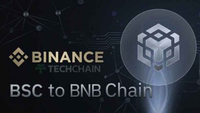 Lebih dari Koin: Eksplorasi Ekosistem Binance dari BSC ke BNB Chain 8 Binance Ekosistem BSC to BNB Chain