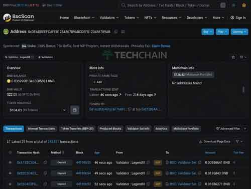 Lebih dari Koin: Eksplorasi Ekosistem Binance dari BSC ke BNB Chain 5 Cara Cek Transaksi di BscScan