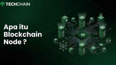 Cara Kerja Node Blockchain dan Jenisnya