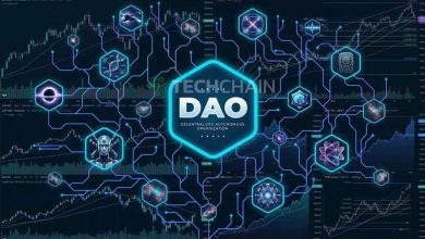 DAO (Decentralized Autonomous Organization)