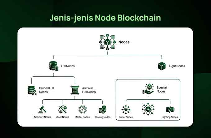 Jenis jenis Node Blockchain