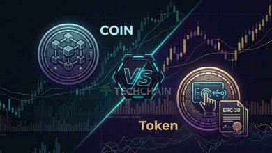 Koin vs Token dalam Crypto