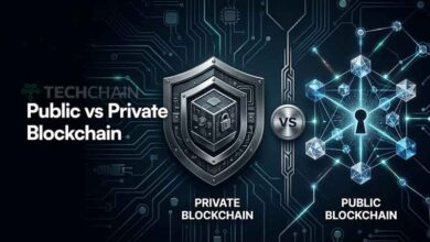 Public vs Private Blockchain untuk bisnis