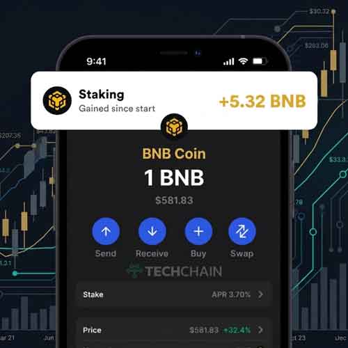 Lebih dari Koin: Eksplorasi Ekosistem Binance dari BSC ke BNB Chain 4 Reward BNB Staking