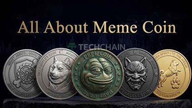 Fenomena Meme Coin: Tren, Logika, dan Risikonya 5 Semua Hal Tentang Meme Coin
